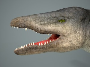 mosasaurus 3D Model