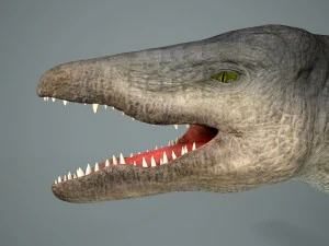 mosasaurus 3D Model