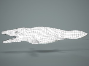 mosasaurus 3D Model