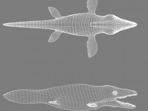 mosasaurus 3D Model