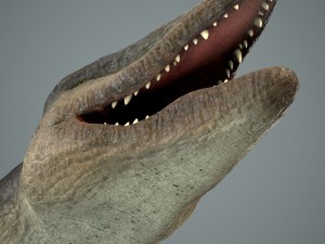 mosasaurus 3D Model