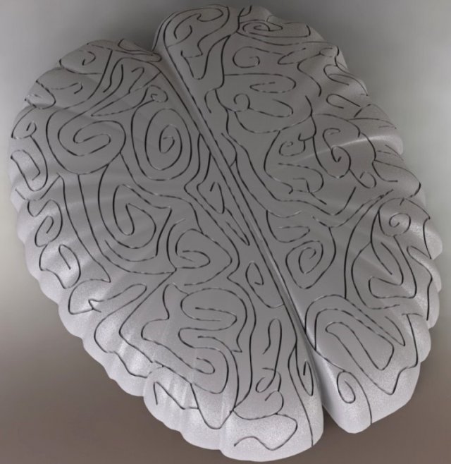 maze in the shape of the brain 3D Model .c4d .max .obj .3ds .fbx .stl .blend 