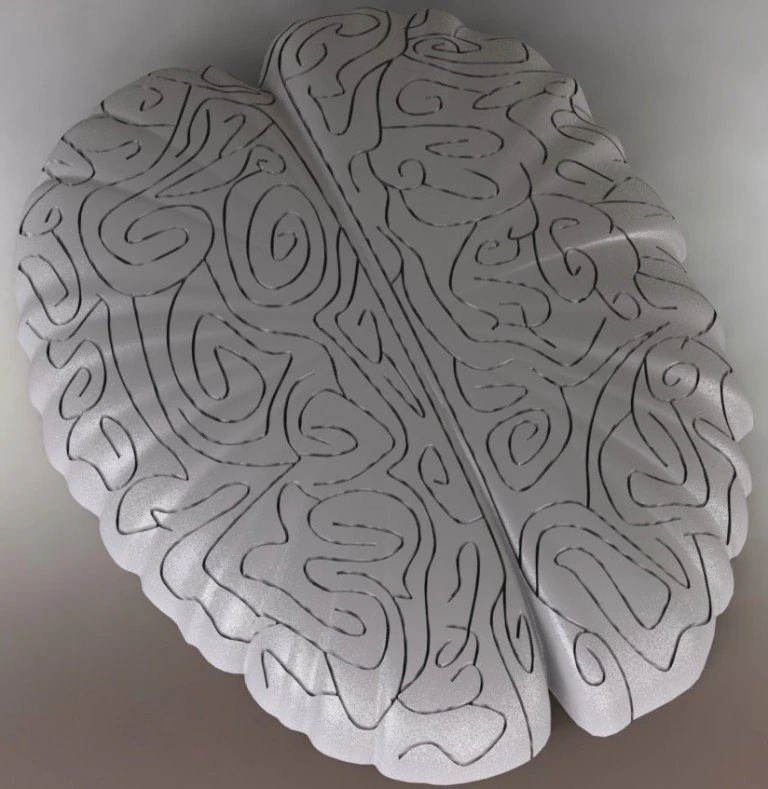 maze in the shape of the brain 3D Model .c4d .max .obj .3ds .fbx .stl .blend