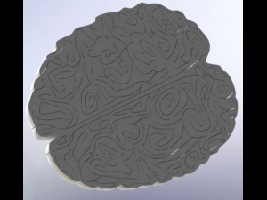 maze in the shape of the brain 3D Model