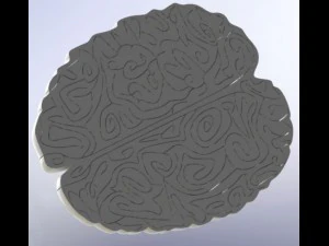 maze in the shape of the brain 3D Model