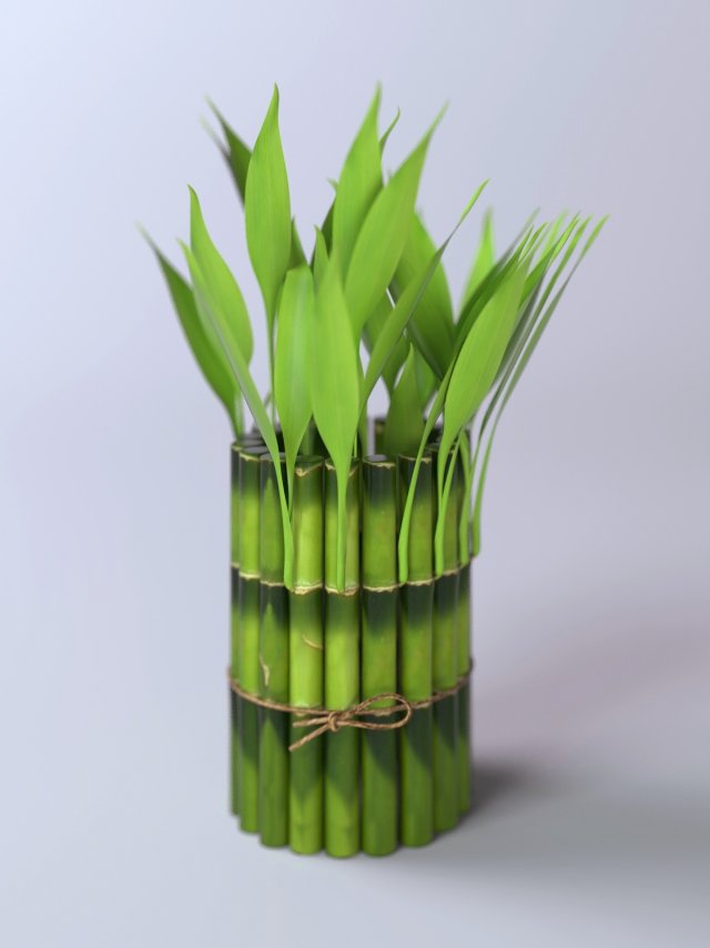 bamboo Modello 3D .c4d .max .obj .3ds .fbx .stl .blend 
