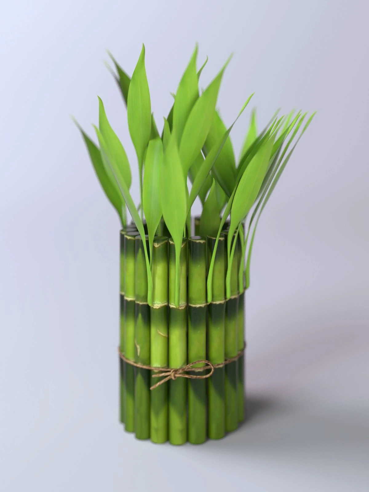 bamboo 3D Model .c4d .max .obj .3ds .fbx .stl .blend 
