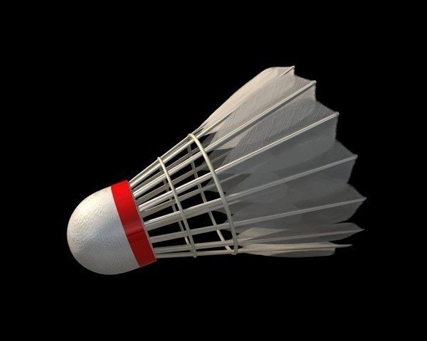 shuttlecock Model 3D .c4d .max .obj .3ds .fbx .stl .blend 