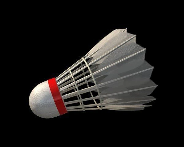 shuttlecock 3D Model .c4d .max .obj .3ds .fbx .stl .blend
