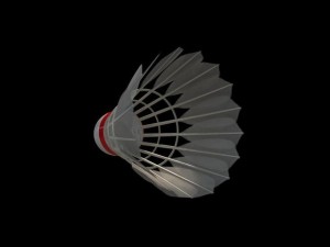 shuttlecock Model 3D