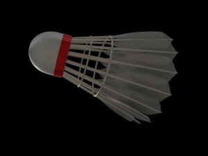 shuttlecock Model 3D