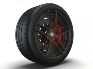 Signature wheel 3D Model