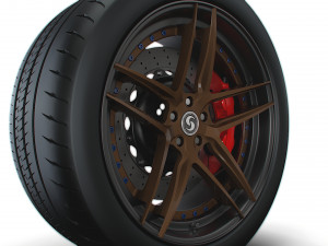 Signature wheel Modello 3D