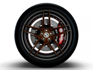 Signature wheel Modello 3D