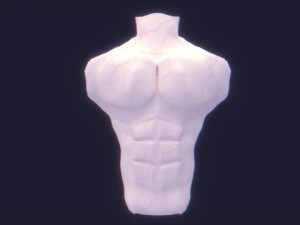male bust Model 3D