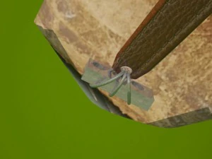 set of medieval 3D Model