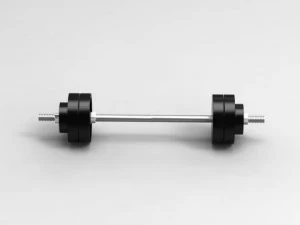 weights 3D Model