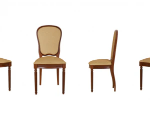premium 3D Model