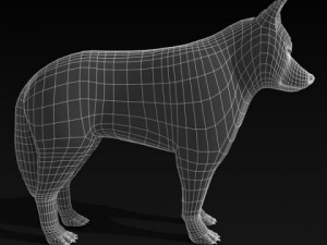 wolf or dog 3D-Modell