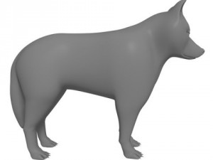 wolf or dog 3D-Modell