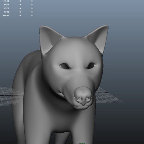 wolf 3D Model .c4d .max .obj .3ds .fbx .stl .blend 