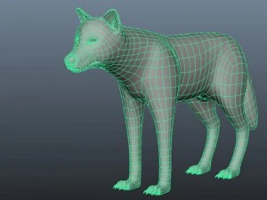 wolf 3D Model