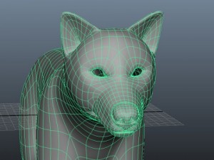 wolf 3D Model