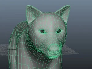 wolf 3D Model