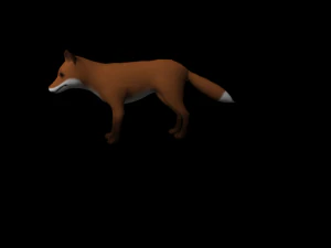 raposa Modelo 3D