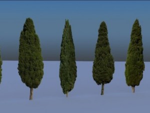 cemetery 3D Model