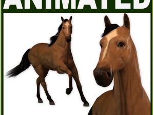 wild horse cg Modèle 3D