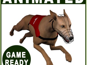 greyhound dog real-time Modèle 3D