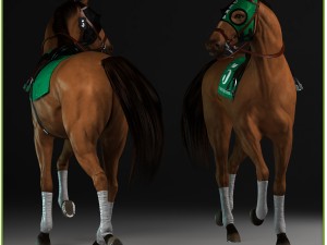 equipped racehorse cg 3D Model