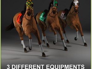 equipped racehorse cg 3D Model