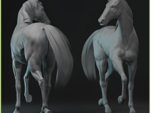 equipped racehorse cg 3D Model