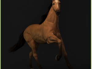 equipped racehorse cg 3D Model
