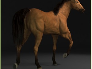 equipped racehorse cg 3D Model