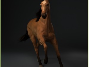 equipped racehorse cg 3D Model