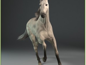 equipped racehorse cg 3D Model