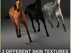 equipped racehorse cg 3D Model