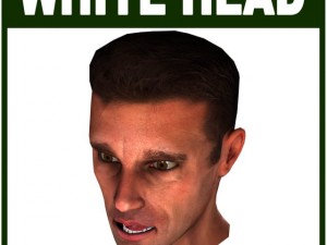low poly white male head Modello 3D