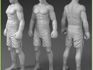 white boxer cg 3D 模型