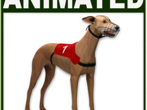 greyhound dog cg Modèle 3D