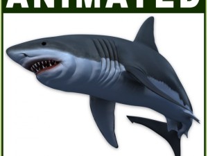 white shark cg Modèle 3D