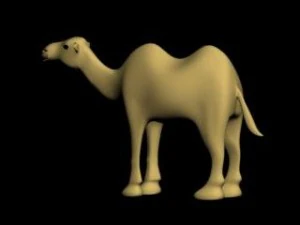 camel 3D Model