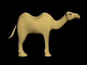 camel 3D मॉडल
