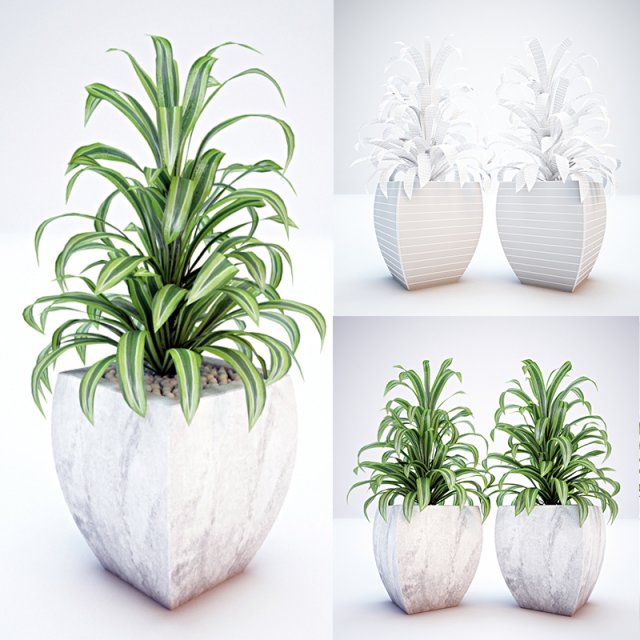 plant and vase for exterior 3D Model .c4d .max .obj .3ds .fbx .stl .blend 