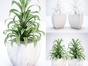 plant and vase for exterior Model 3D