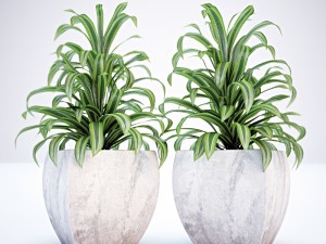 plant and vase for exterior 3D Model