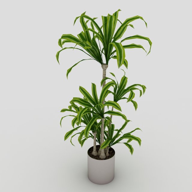 interior plant 3D मॉडल .c4d .max .obj .3ds .fbx .stl .blend 